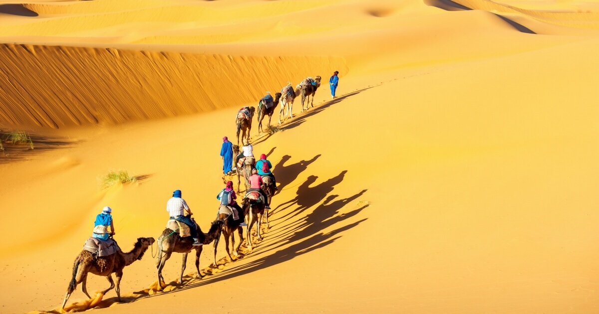 Mewar Festival Tours in India with Desert Triangle Tours in India